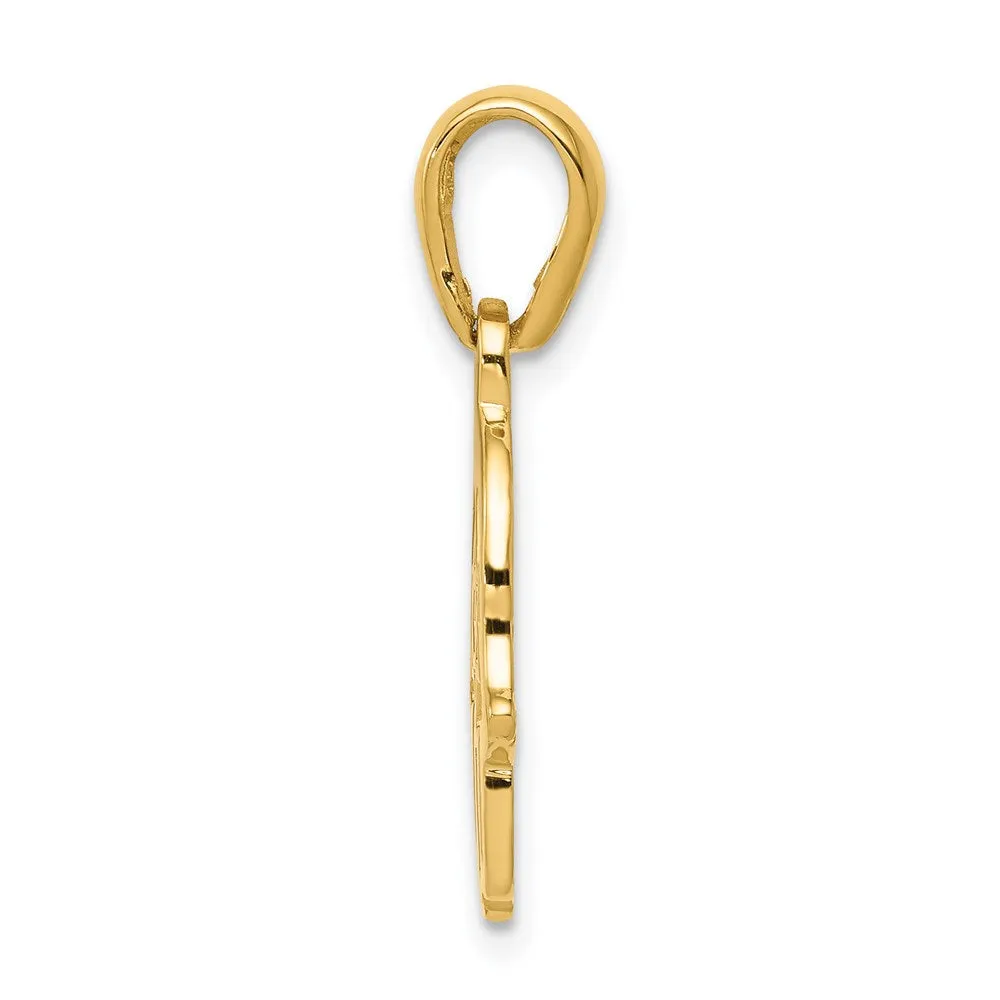 14k Star of David Chamseh Pendant