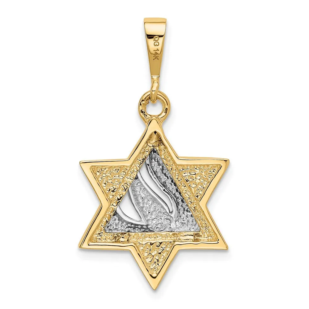 14k Two-tone Star of David Pendant