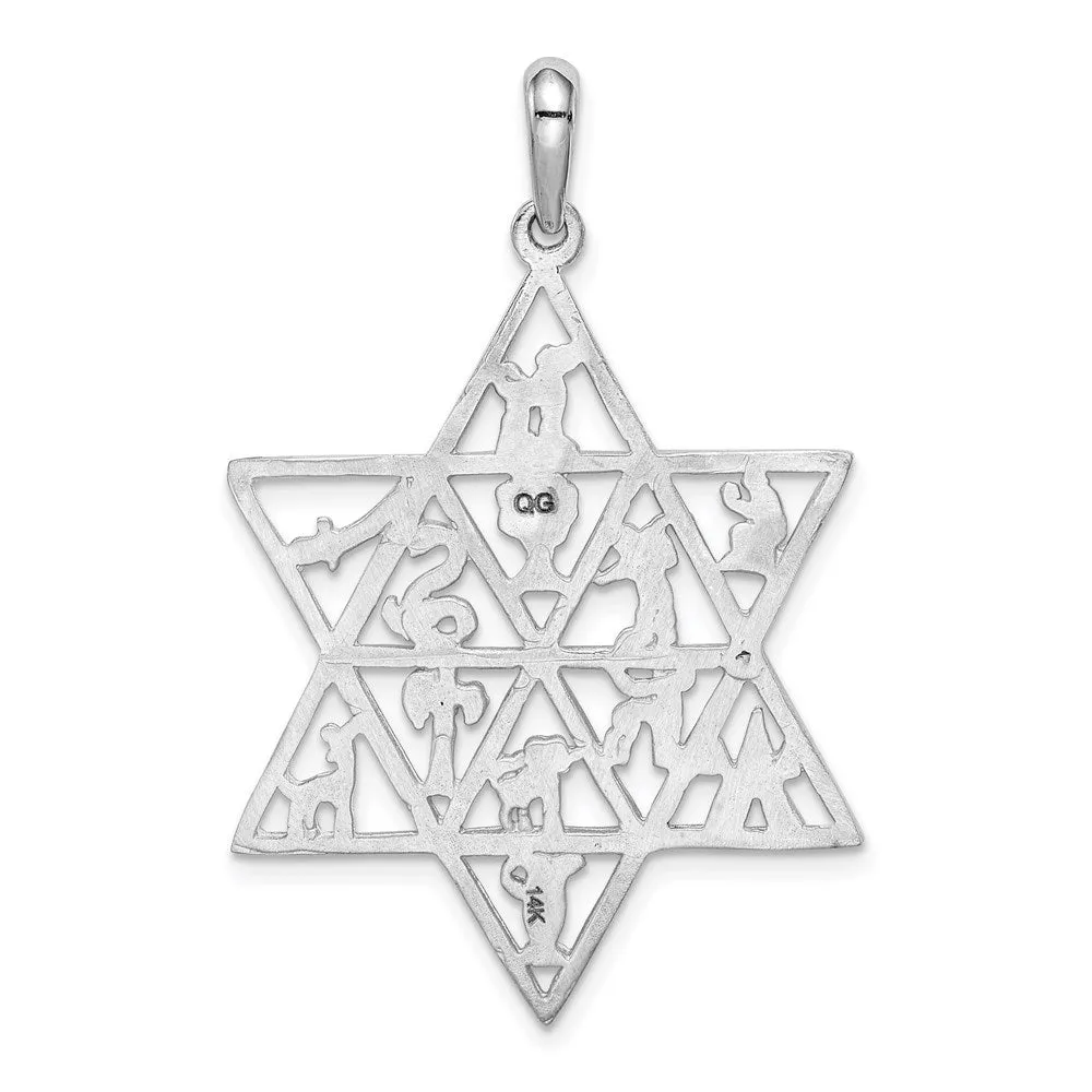 14k White Gold 12 Tribes Star of David Pendant