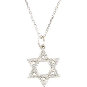 14k White Gold 1/5 CTW Diamond Star of David Necklace