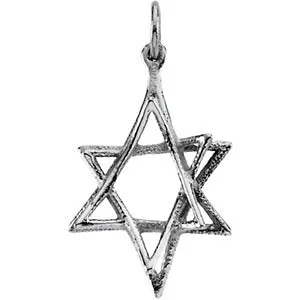 14k White Gold 20.75x15.25mm Star of David Pendant