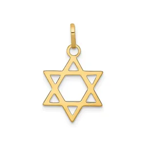 14K Yellow Gold (14mm) Star of David Pendant