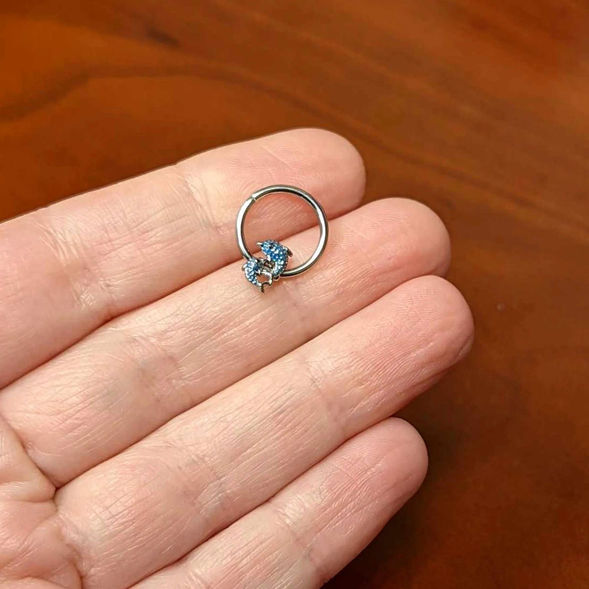 16 Gauge 3/8 Black Gem Blue Leaping Dolphins Hinged Segment Ring