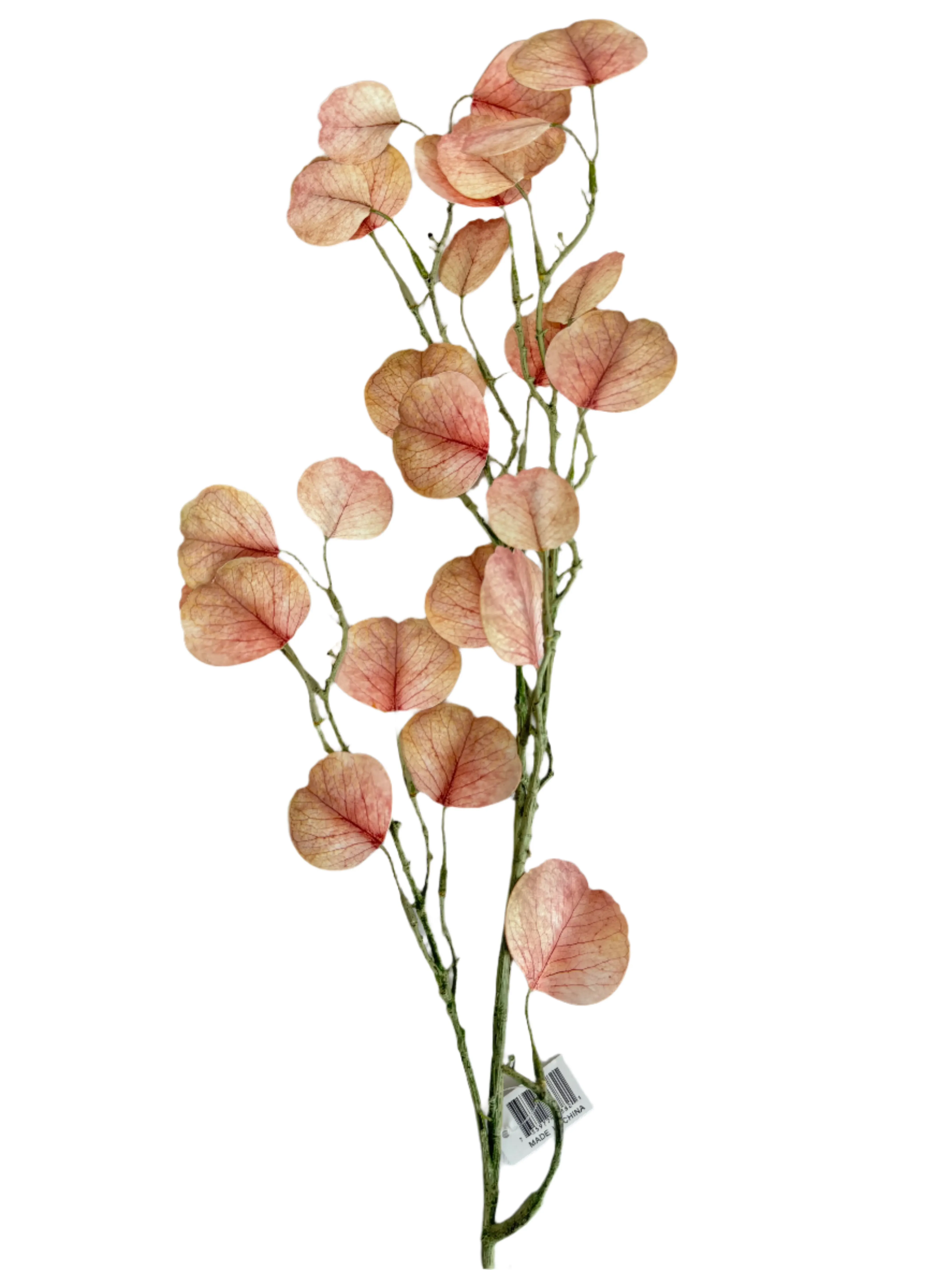 32" Eucalyptus Flat Leaf Spray: Mulberry, Cream - 79382
