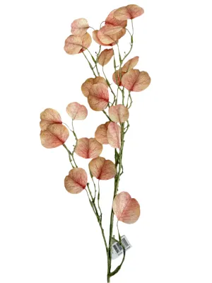 32" Eucalyptus Flat Leaf Spray: Mulberry, Cream - 79382