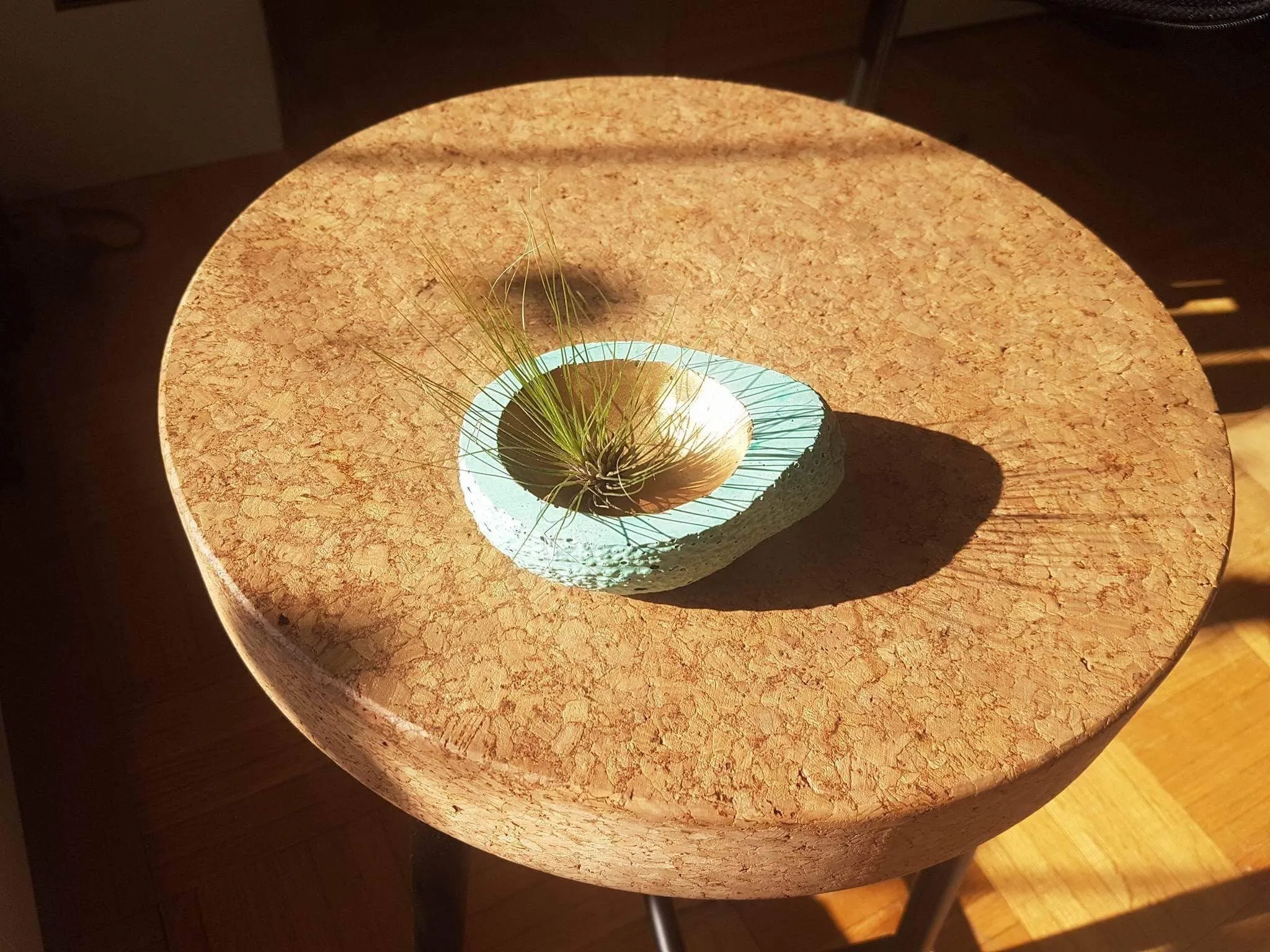 Avocado Dish