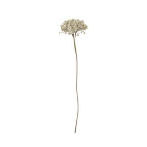 Cream Yarrow Stem