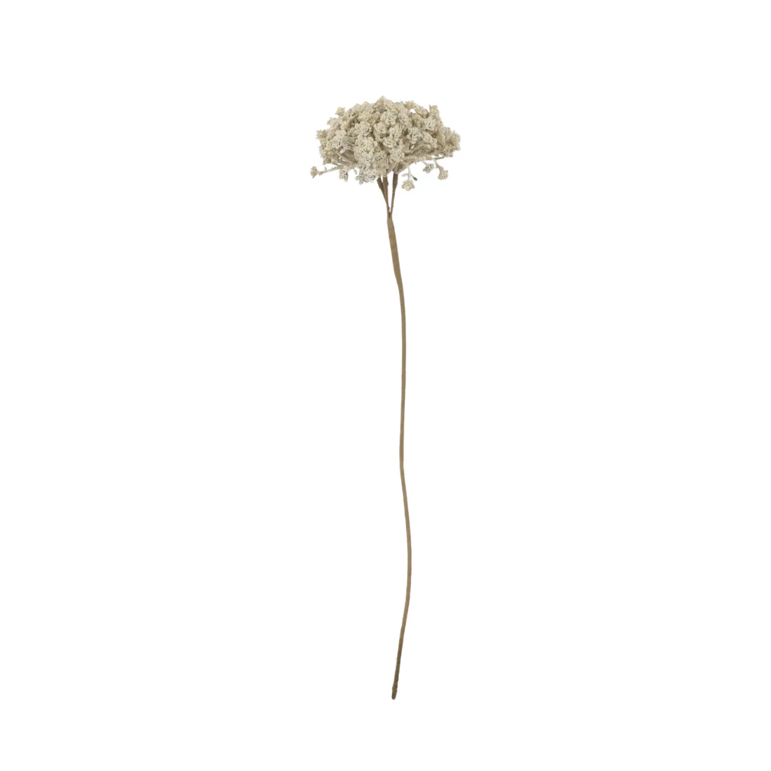 Cream Yarrow Stem