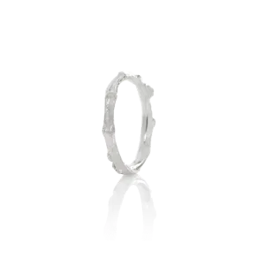 CYGNUS ring
