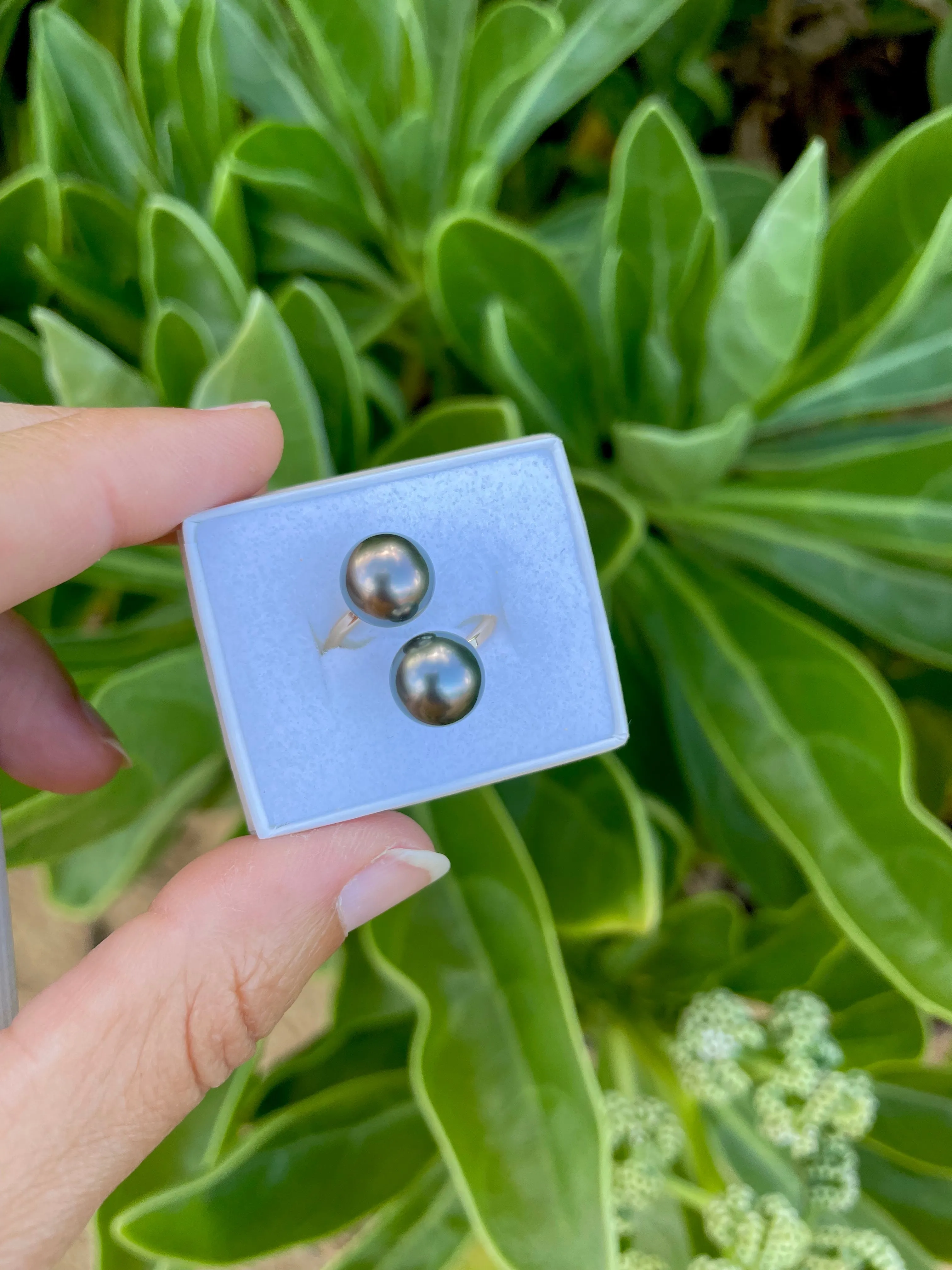 Double Tahitian Pearl Rings