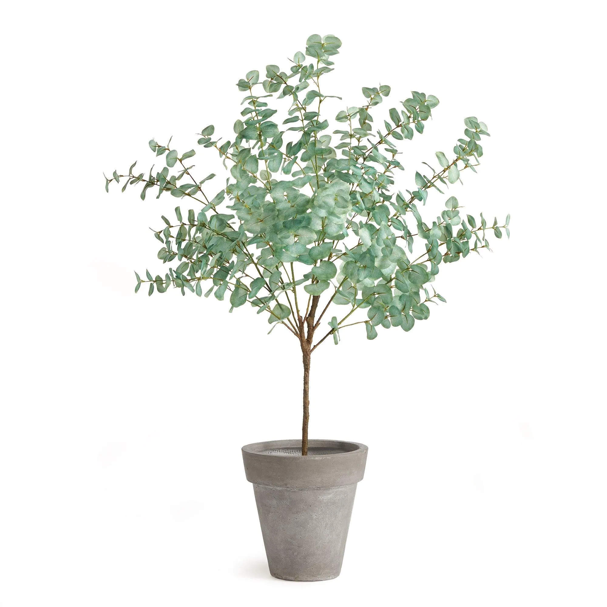 Eucalyptus Tree Drop In 49"