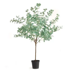 Eucalyptus Tree Drop In 49"
