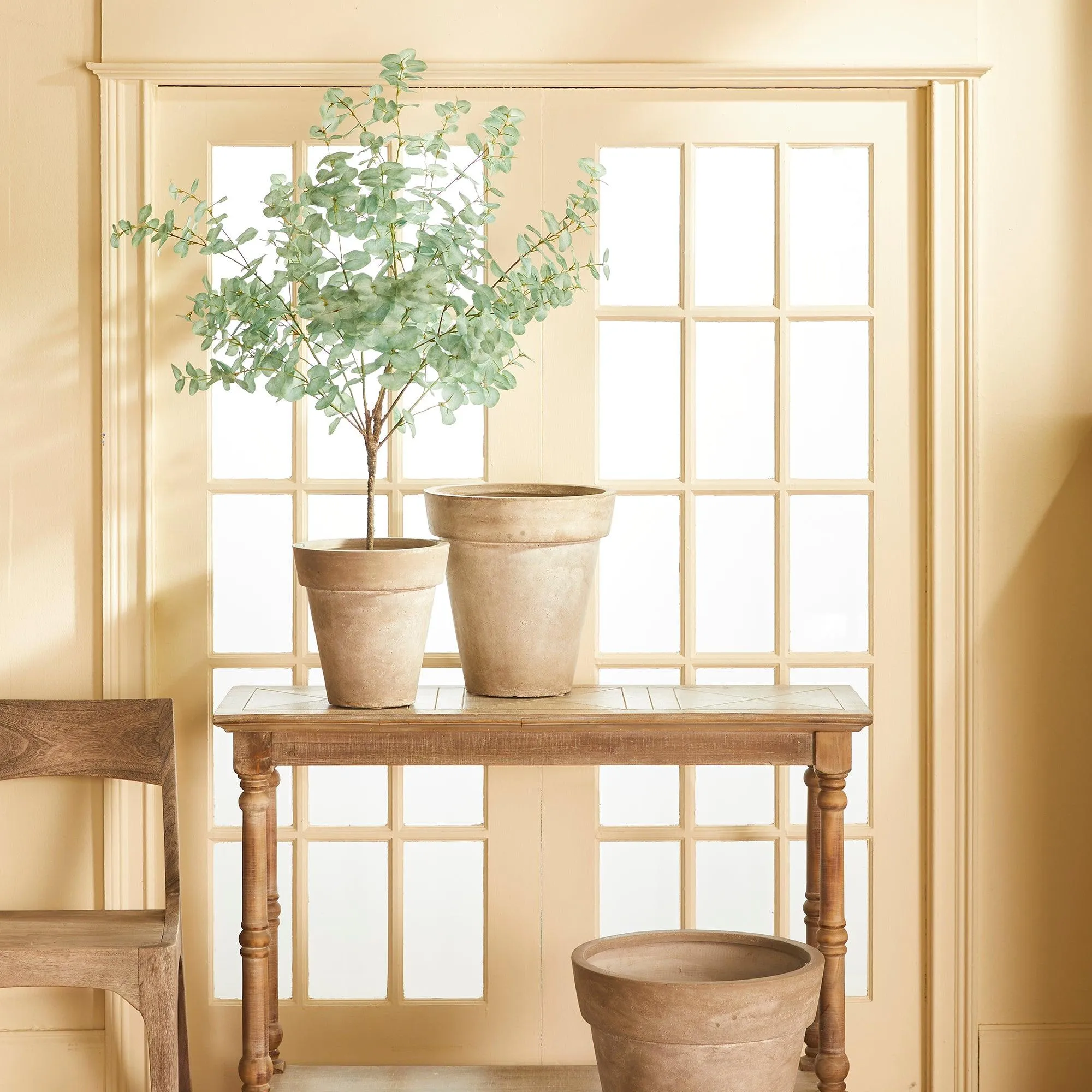 Eucalyptus Tree Drop In 49"