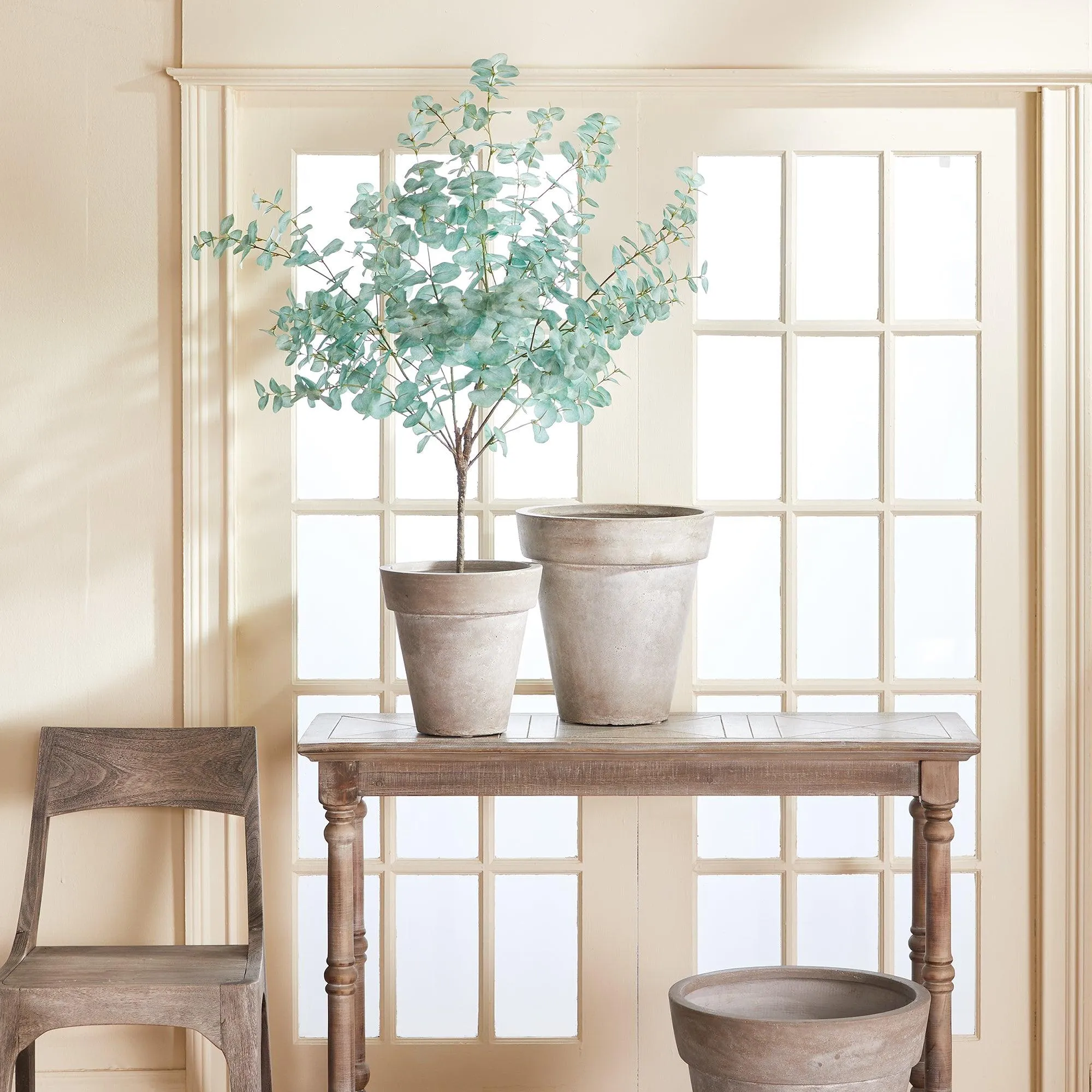 Eucalyptus Tree Drop In 49"