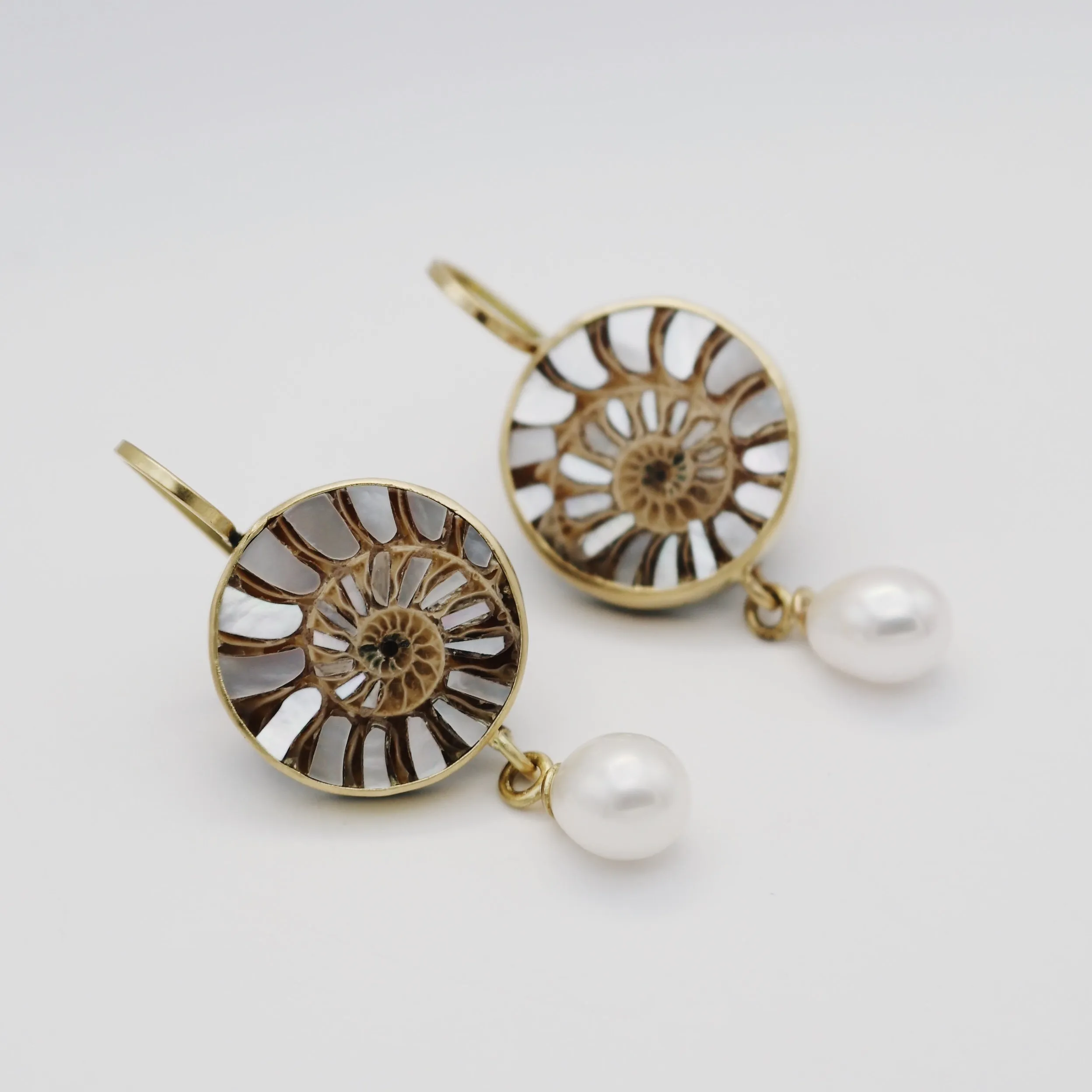 Fossilized Ammonites with Mother of Pearl Inlay Earrings
