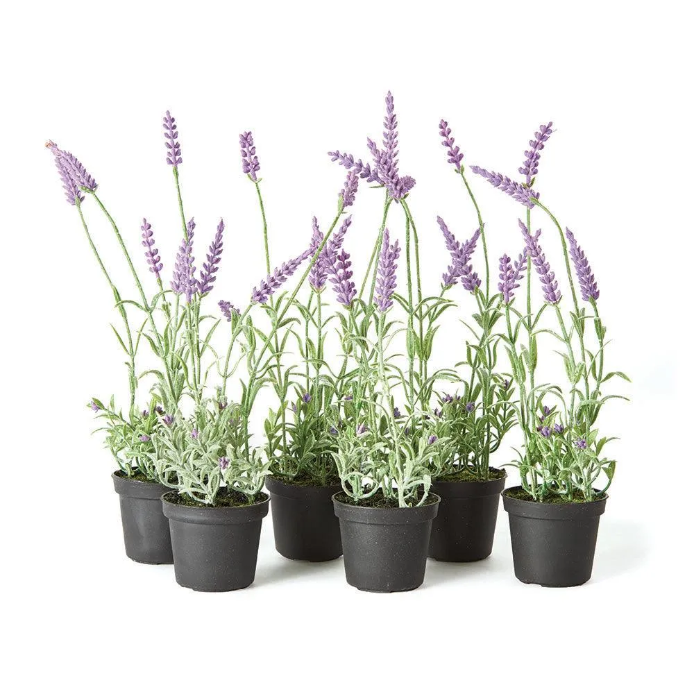 French Lavender Drop In 13", Set Of 6