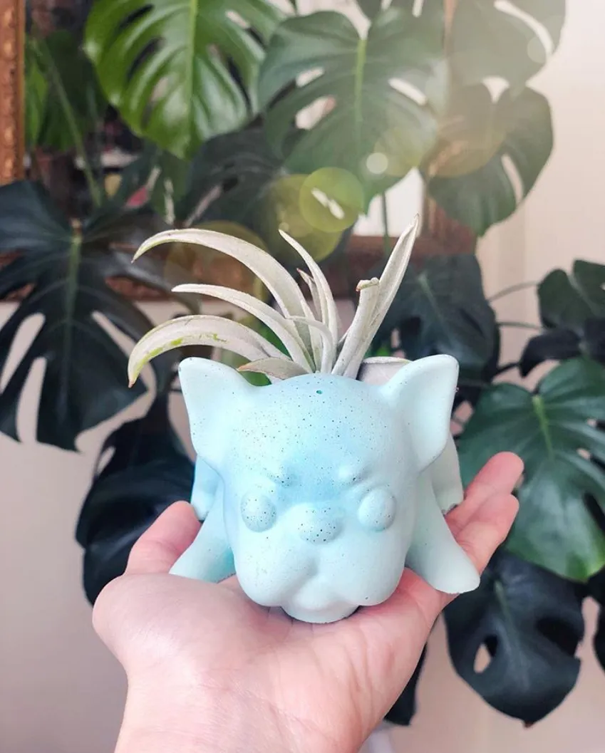 Frenchie Planter