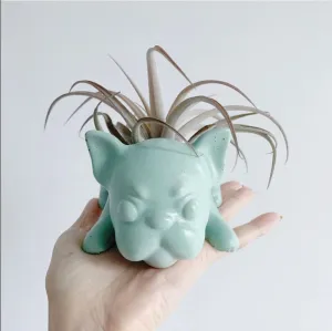 Frenchie Planter