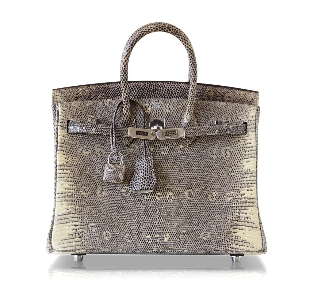 Hermès Birkin 25 Bag Ombre Lizard PHW