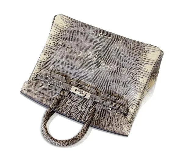 Hermès Birkin 25 Bag Ombre Lizard PHW
