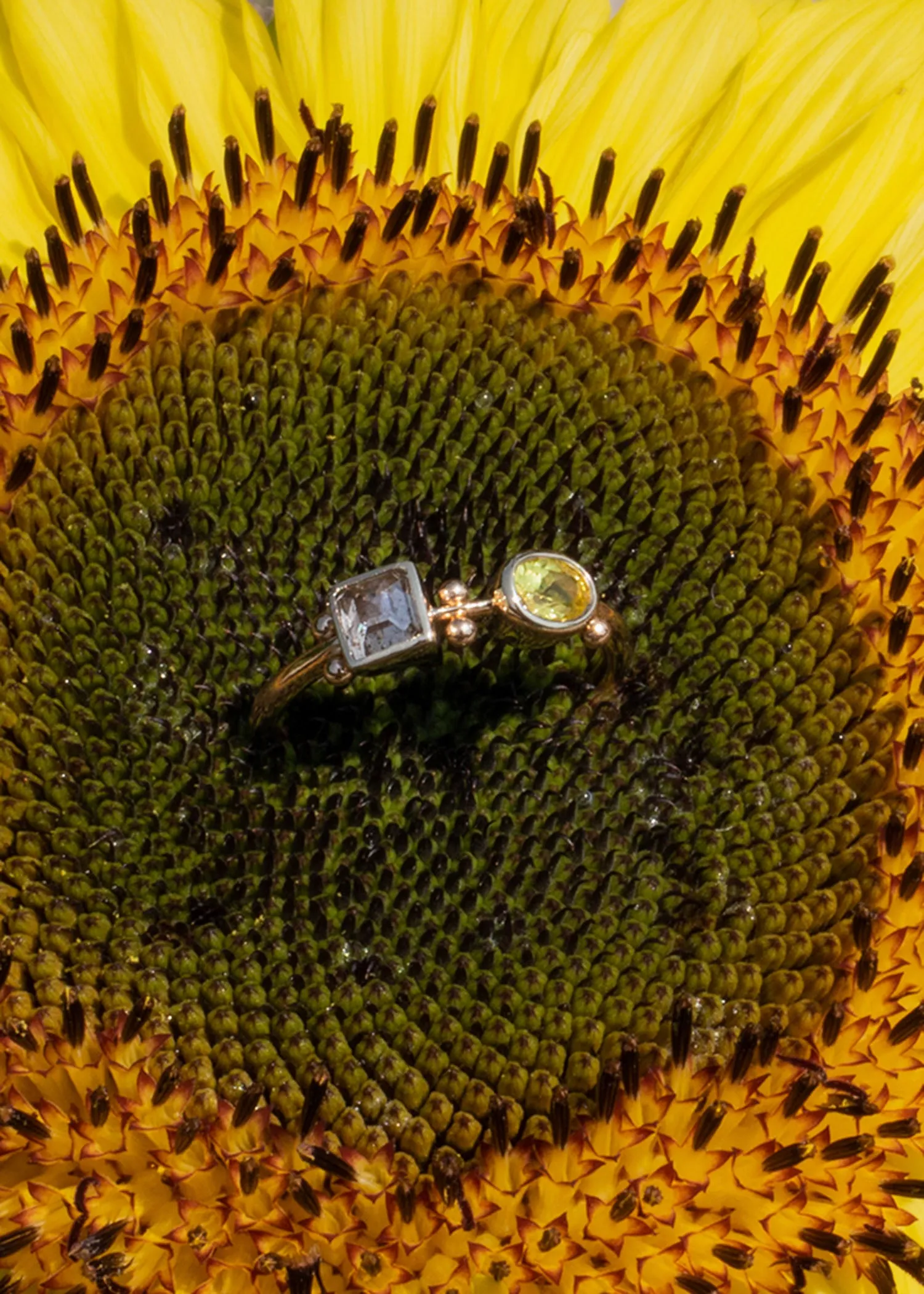 In Stock | Florescence Ring No.2