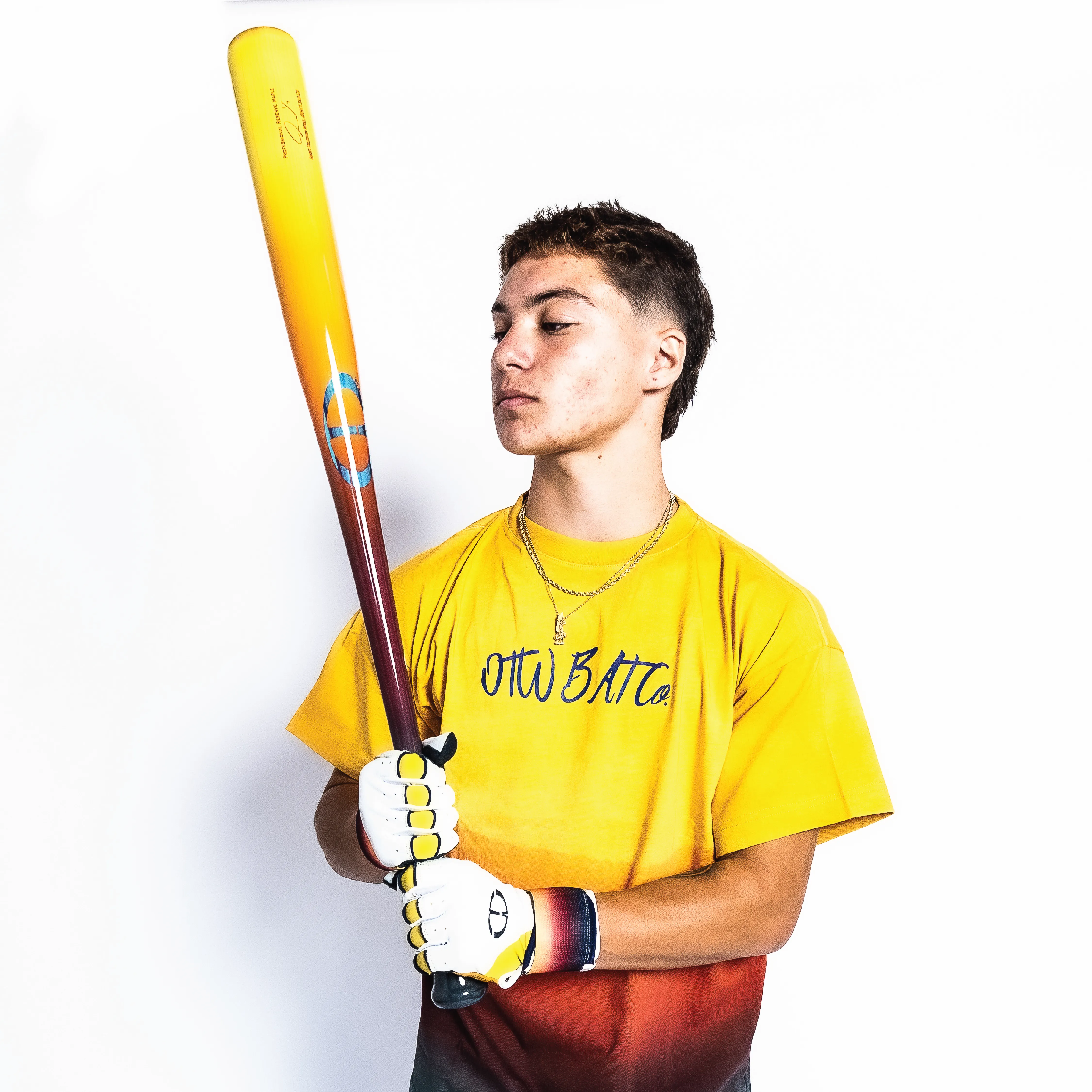 Limited & Exclusive Signed Edition Sunset Bat