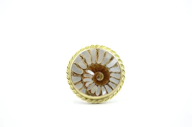 Mother of Pearl Inlay Fossilized Ammonite - Mixed Metals Rings