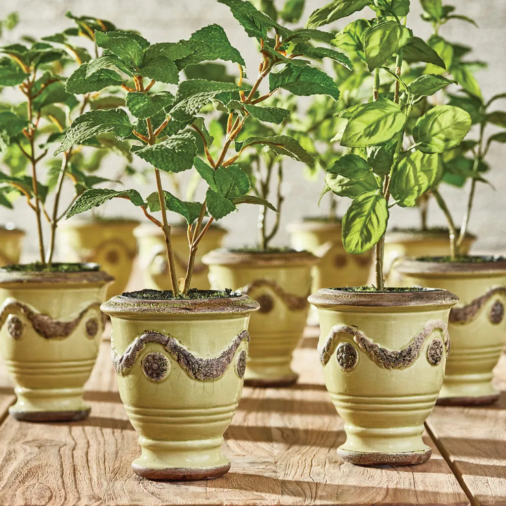 NAPA Home & Garden, BASIL DROP-INS 11", SET OF 6,GP203