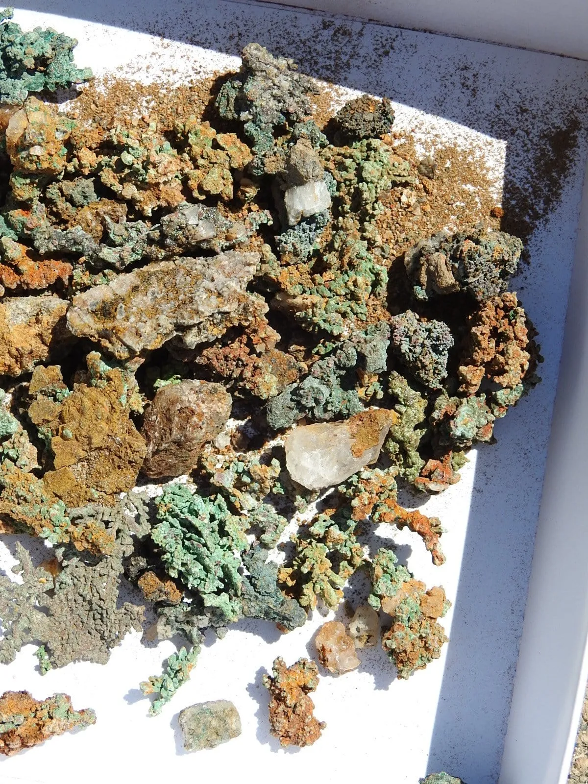 Native Copper Specimens (Morocco)