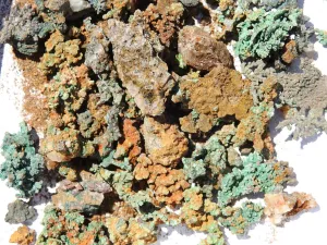 Native Copper Specimens (Morocco)