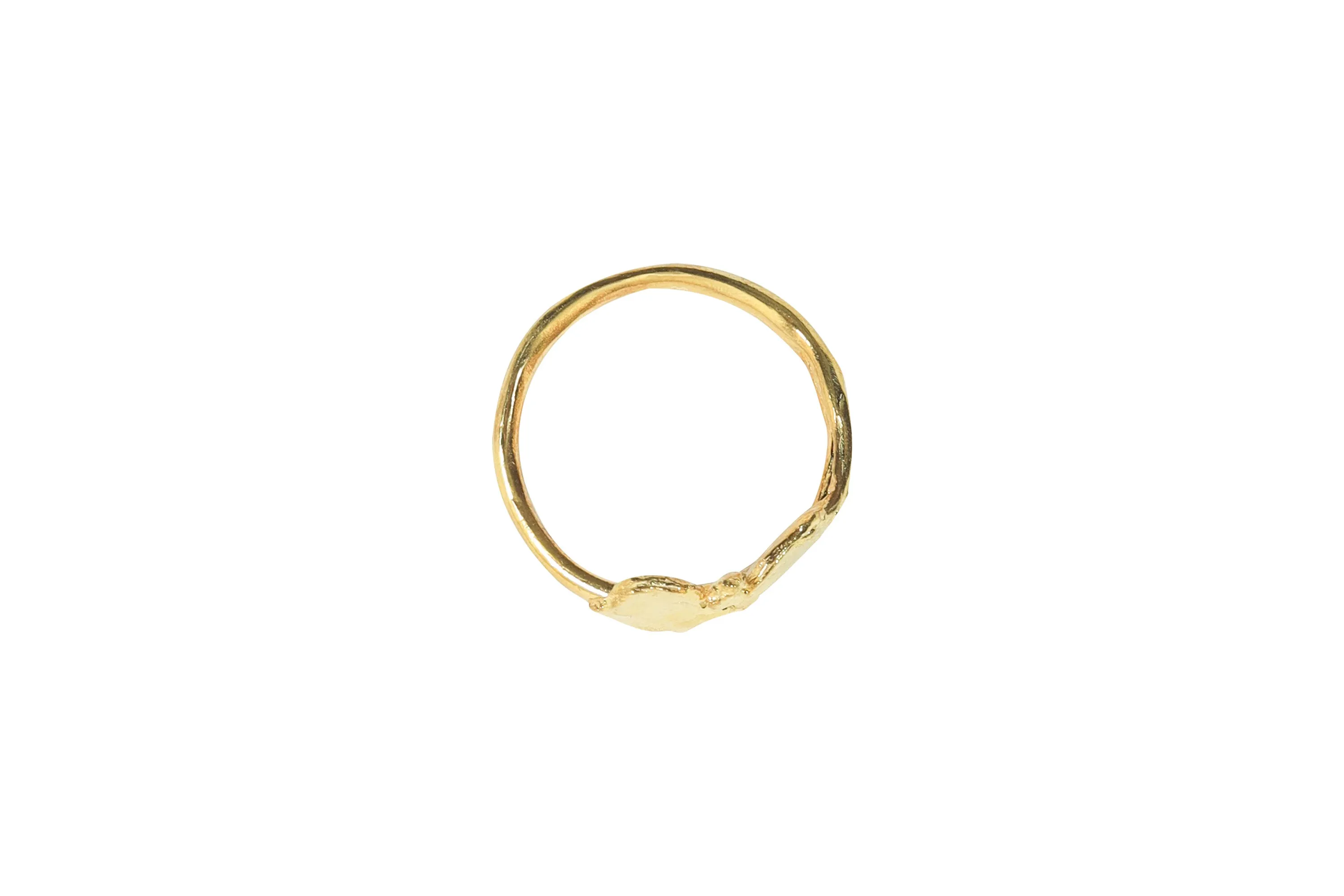 Painting with Flowers, Ring