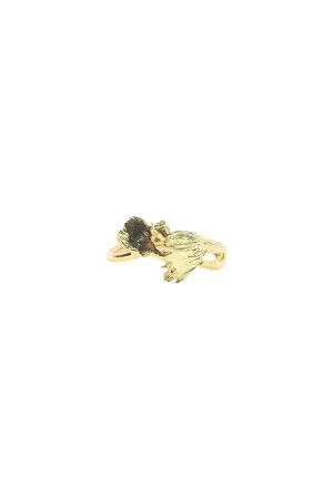 Painting with Flowers, Ring