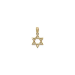 Reversible Star of David Pendant (14K)