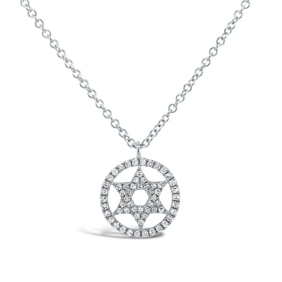 Shy Creation Diamond Circle Star of David Necklace
