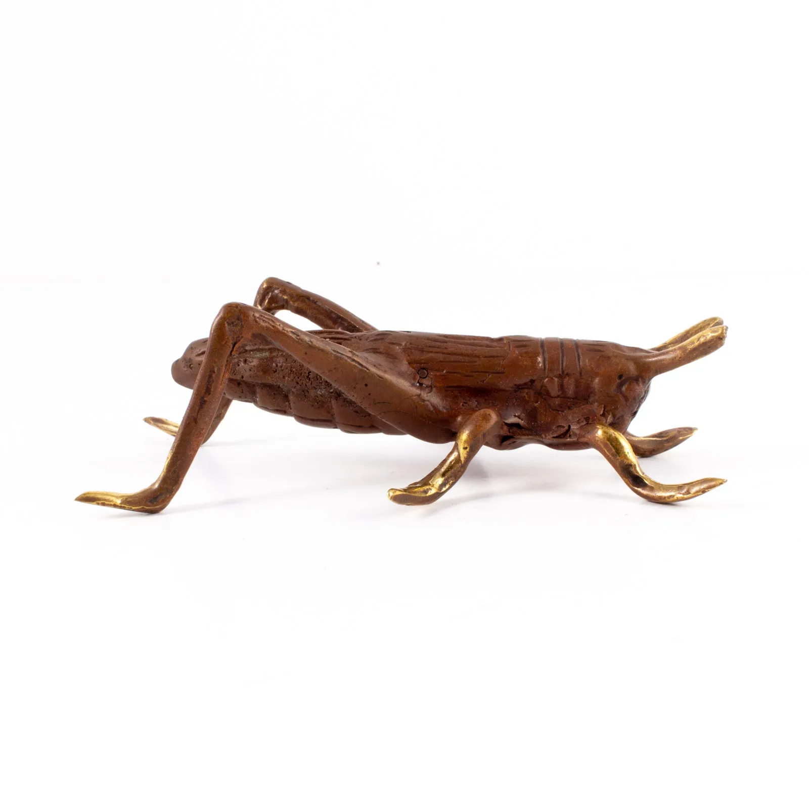 Small Mid-Century Brass Insect
