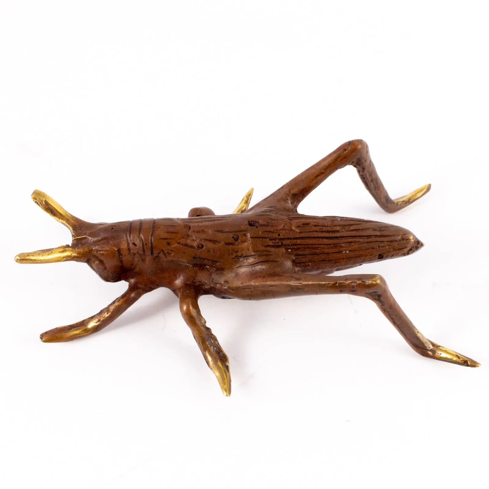 Small Mid-Century Brass Insect
