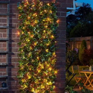 Solar InLit Ivy Trellis 180 x 60cm
