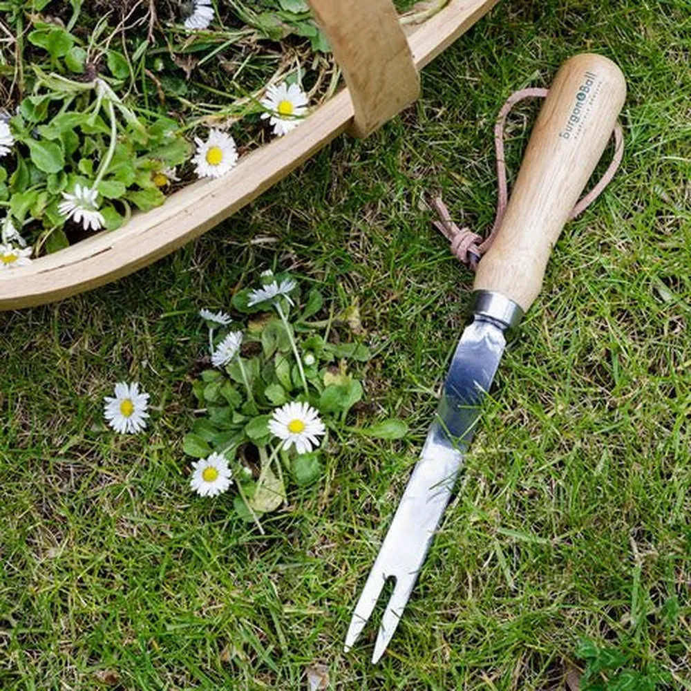 Stainless Steel Daisy Weeder, from Burgon & Ball