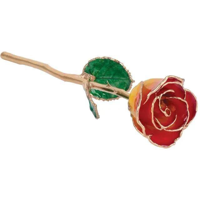 Sunset Yellow and Red Lacquered Dipped Rose with Gold Trim