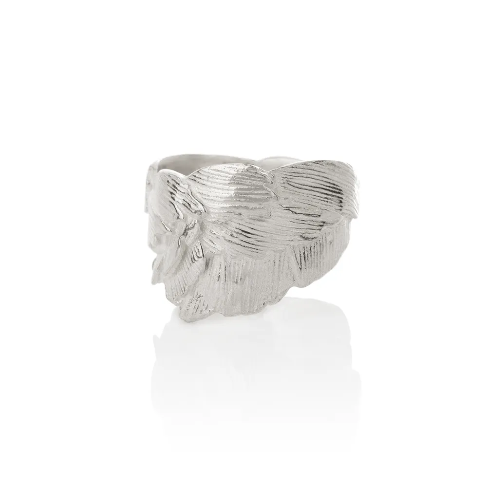 SWAN ring