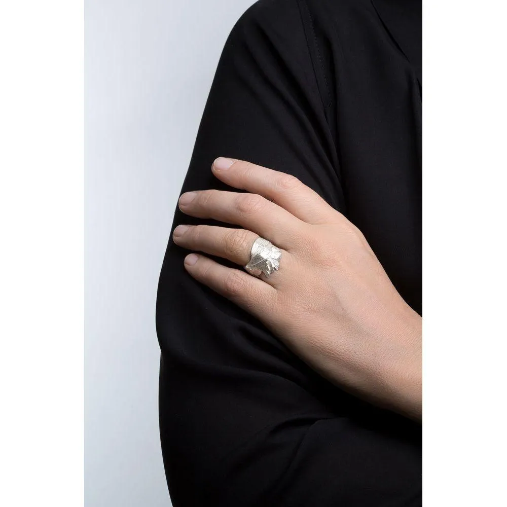 SWAN ring