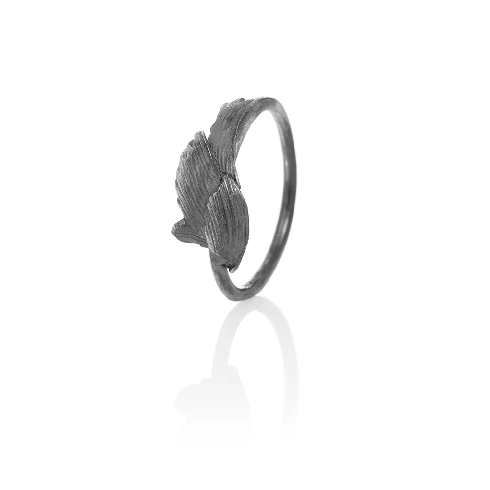 SWAN ring