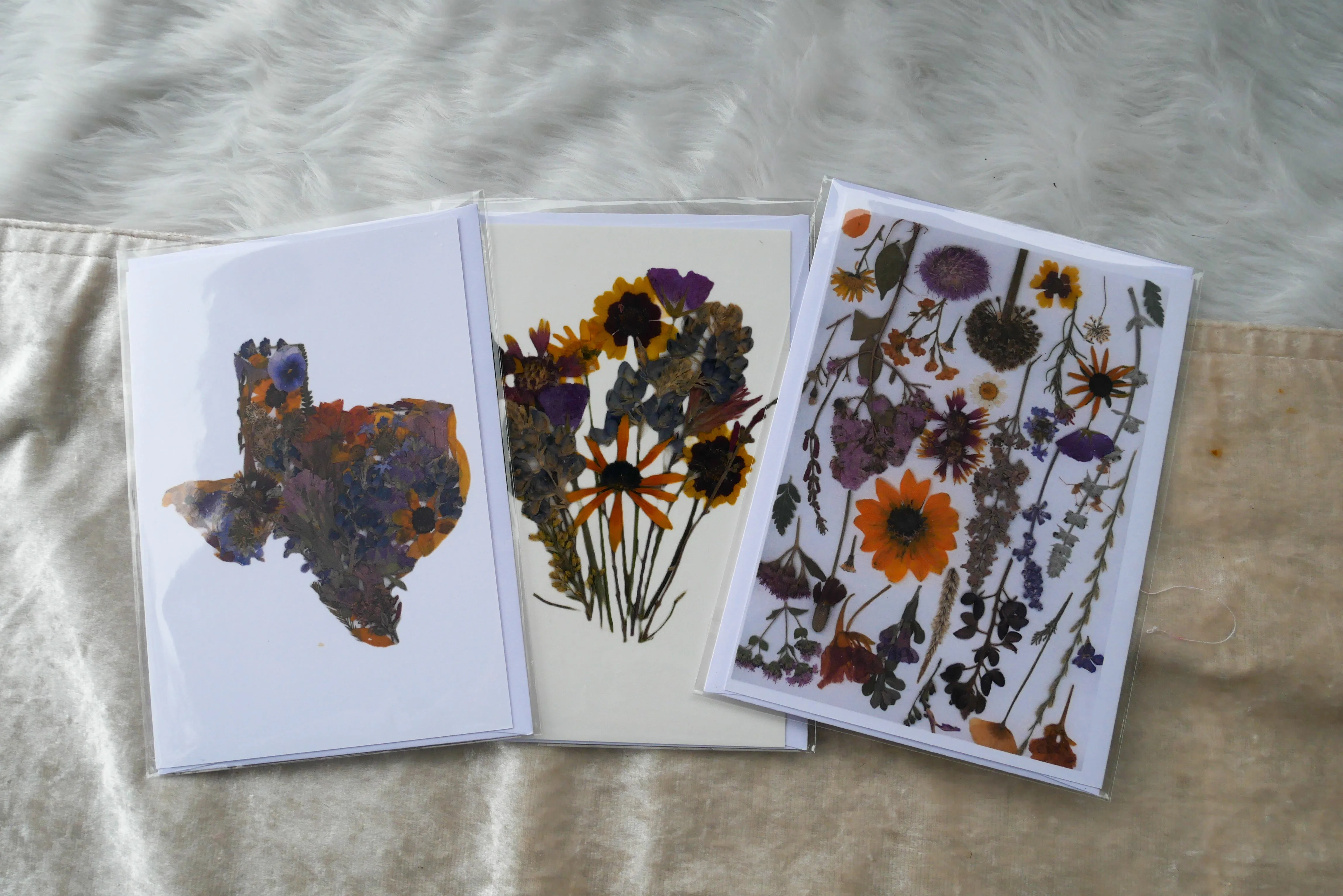 Texas wildflower blank greeting  card